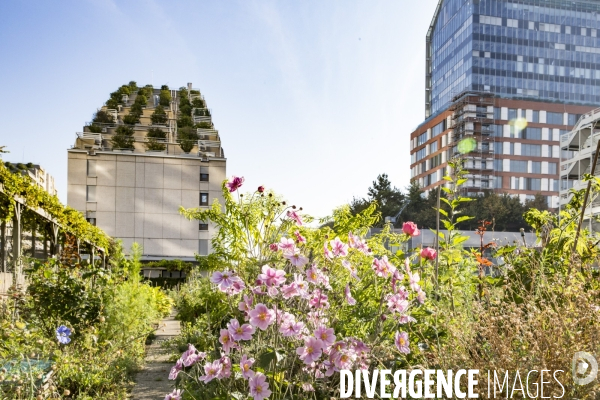 Les Jardins partages du Pont de Sevres