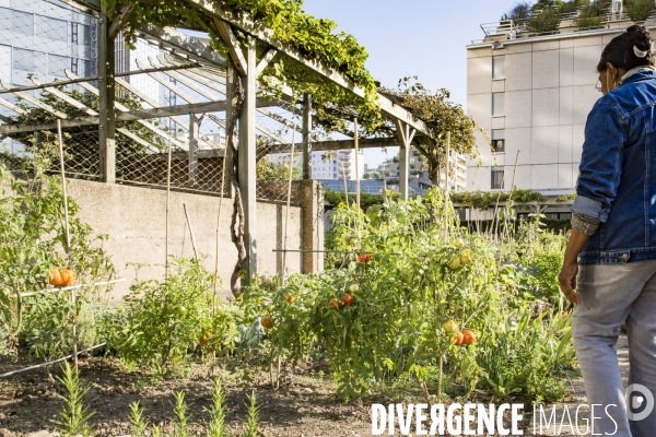 Les Jardins partages du Pont de Sevres