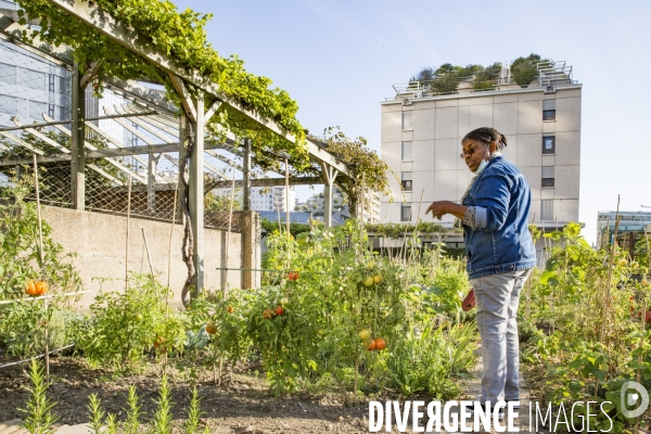 Les Jardins partages du Pont de Sevres