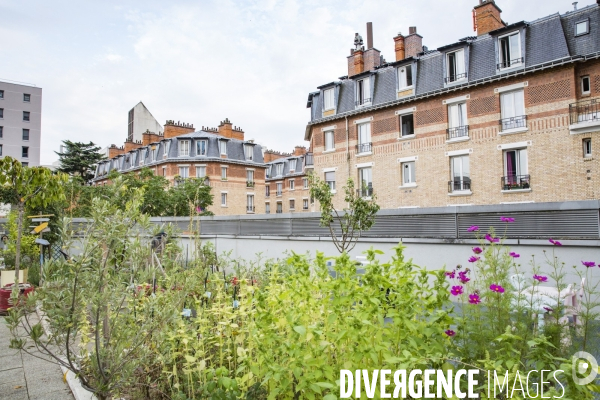 Les Jardins partages du Pont de Sevres