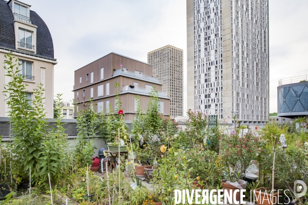 Les Jardins partages du Pont de Sevres