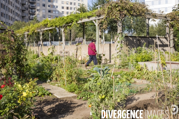 Les Jardins partages du Pont de Sevres