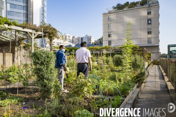 Les Jardins partages du Pont de Sevres