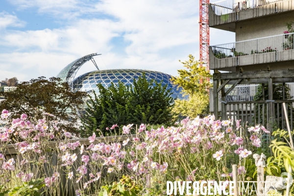 Les Jardins partages du Pont de Sevres