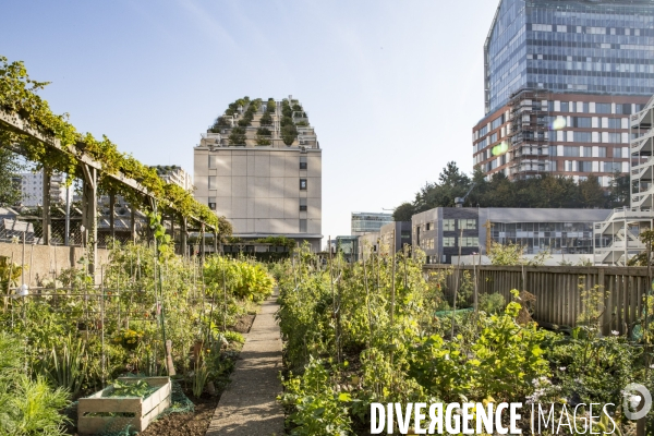 Les Jardins partages du Pont de Sevres