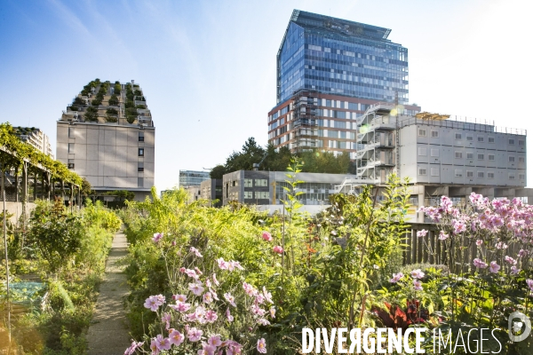 Les Jardins partages du Pont de Sevres