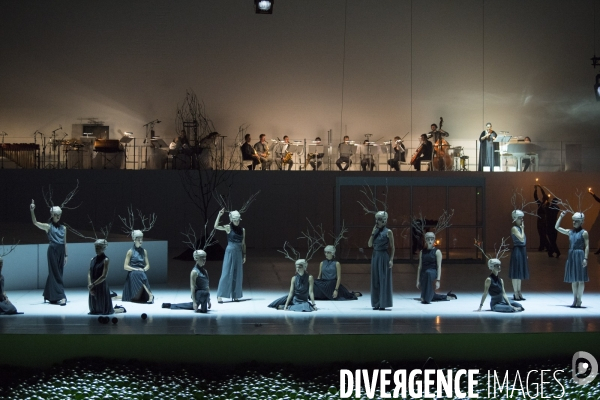 PLAY de Alexander Ekman