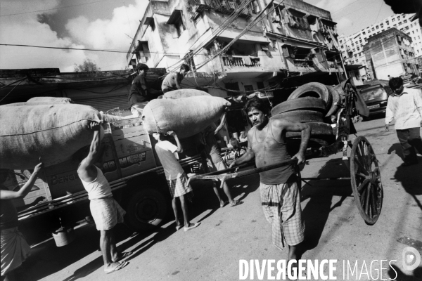 Les « hommes chevaux » de Calcutta, derniers rickshaws humains de la planète