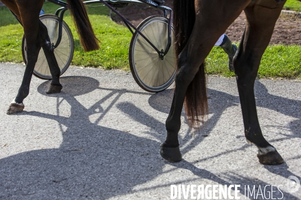 Courses hippiques sur l hippodrome d Amiens