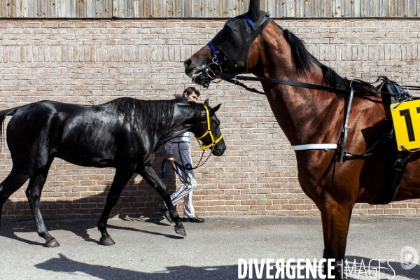 Courses hippiques sur l hippodrome d Amiens