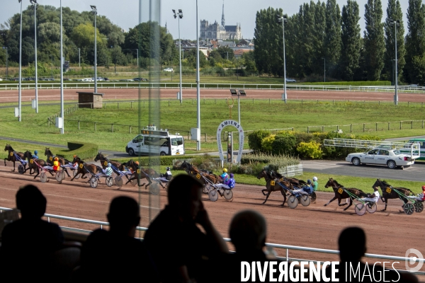 Courses hippiques sur l hippodrome d Amiens