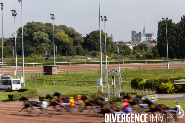 Courses hippiques sur l hippodrome d Amiens