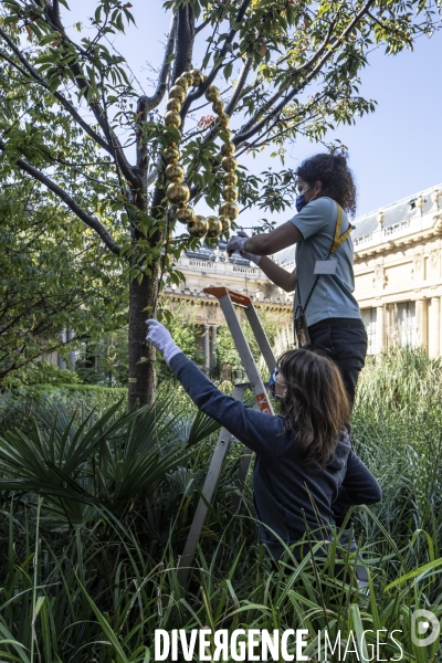 Jean michel othoniel au petit palais