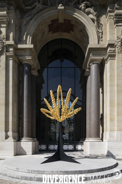 Jean michel othoniel au petit palais