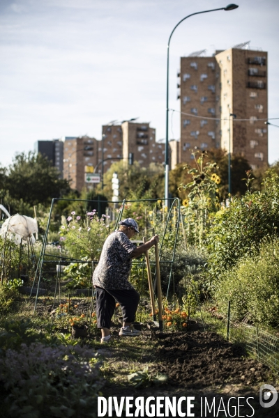 Les jardins ouvriers des vertus a aubervilliers