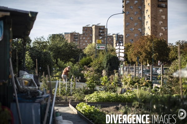 Les jardins ouvriers des vertus a aubervilliers