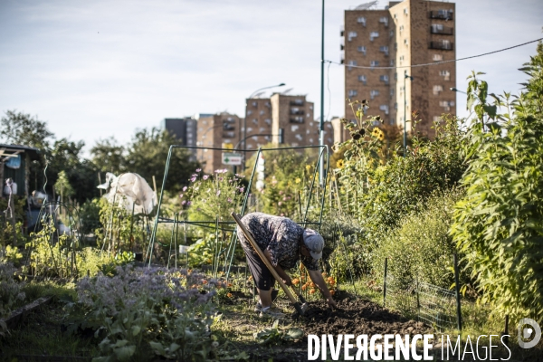 Les jardins ouvriers des vertus a aubervilliers