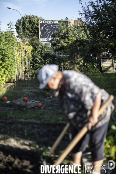 Les jardins ouvriers des vertus a aubervilliers