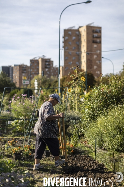 Les jardins ouvriers des vertus a aubervilliers