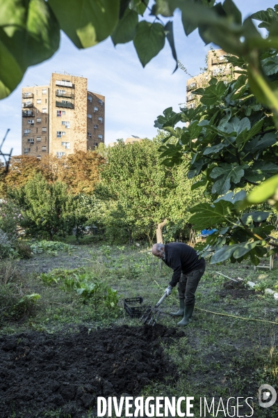 Les jardins ouvriers des vertus a aubervilliers