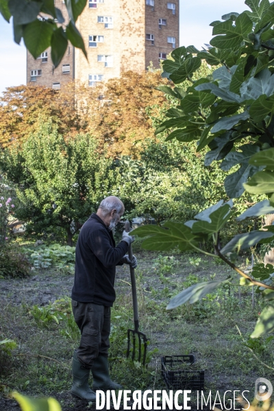 Les jardins ouvriers des vertus a aubervilliers