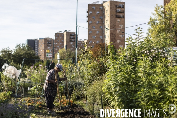 Les jardins ouvriers des vertus a aubervilliers