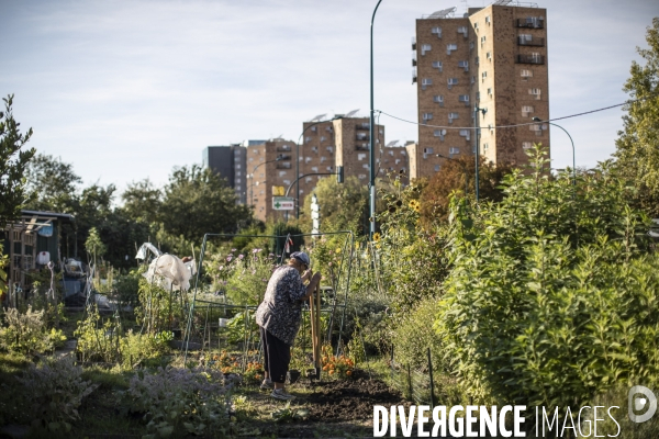 Les jardins ouvriers des vertus a aubervilliers