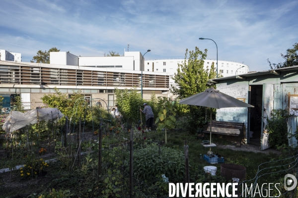 Les jardins ouvriers des vertus a aubervilliers