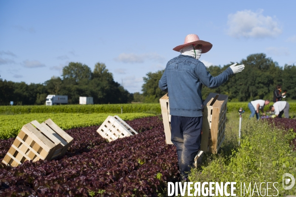 Main d oeuvre etrangere dans l agriculture