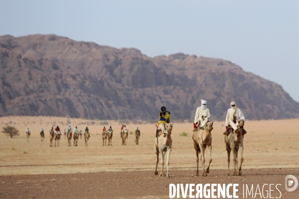 Course de dromadaires chez les Goranes au nord-est du Tchad, dans le désert d Ennedi