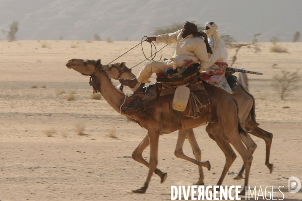 Course de dromadaires chez les Goranes au nord-est du Tchad, dans le désert d Ennedi