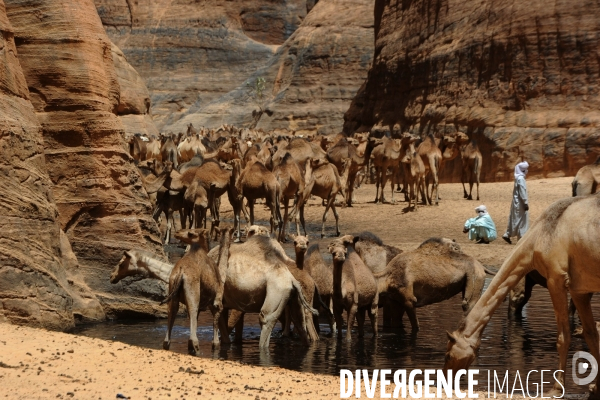 Le Guelta d Archéï dans le désert d Ennedi au Tchad