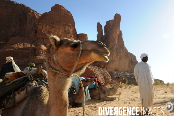 Les Goranes peuple d éleveurs nomades dans le Massif de l Ennedi au nord du Tchad