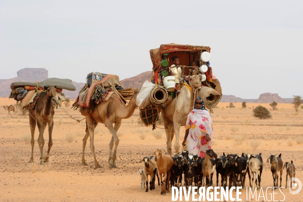 Les Goranes peuple d éleveurs nomades dans le Massif de l Ennedi au nord du Tchad