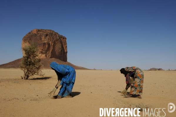 Les Goranes peuple d éleveurs nomades dans le Massif de l Ennedi au nord du Tchad