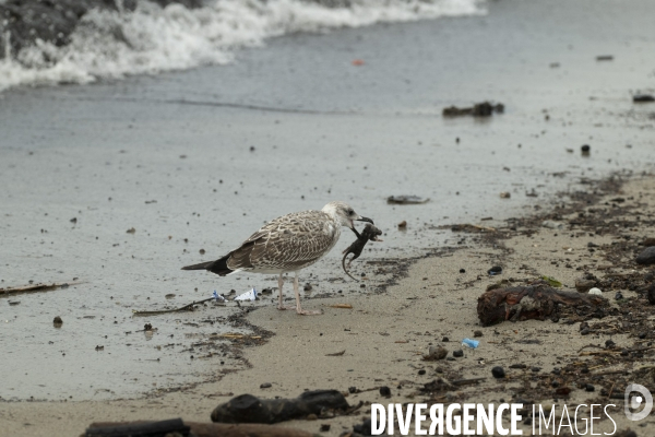 Intempéries et grève des poubelles