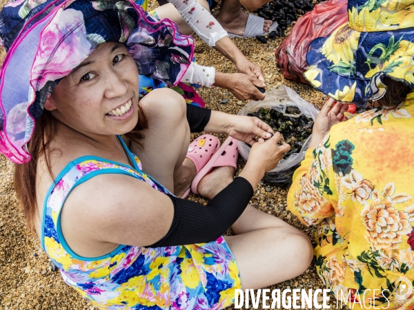 Les Chinois à la Plage