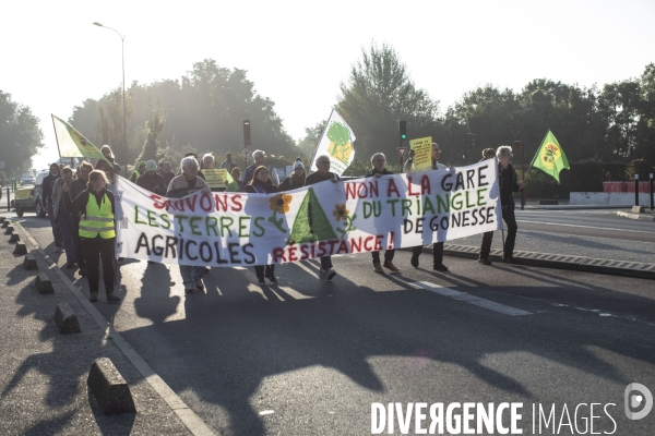 Marche des terres contre l avancee de l urbanisation