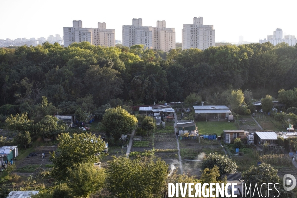 Le jardins des vertus a aubervilliers