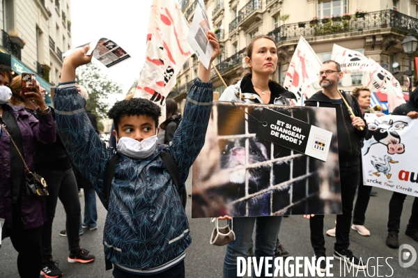 Cause animale :  Marche contre la fourrure et contre l exploitation des animaux pour leur peau. March Against Fur and the Exploitation of Animals for Their Skin.2021.