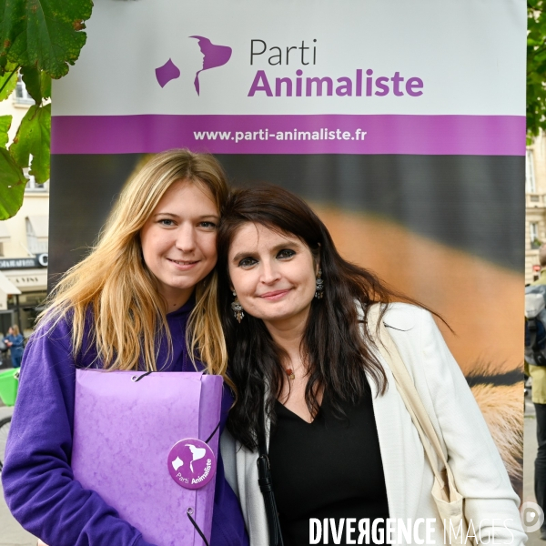 Cause animale : Exigeons une loi pour les animaux au Sénat. animal welfare: Demand an animal law in the Senate.