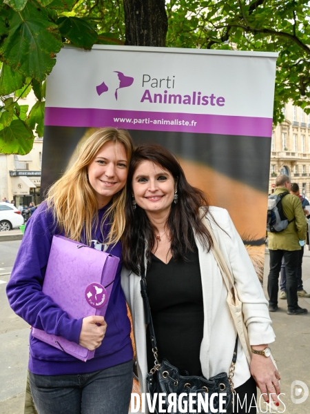 Cause animale : Exigeons une loi pour les animaux au Sénat. animal welfare: Demand an animal law in the Senate.