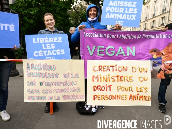 Cause animale : Exigeons une loi pour les animaux au Sénat. animal welfare: Demand an animal law in the Senate.