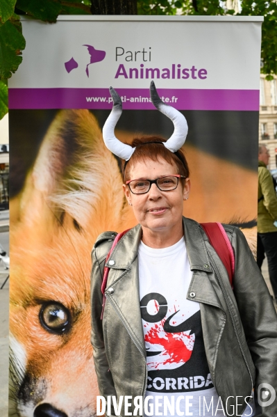 Cause animale : Exigeons une loi pour les animaux au Sénat. animal welfare: Demand an animal law in the Senate.