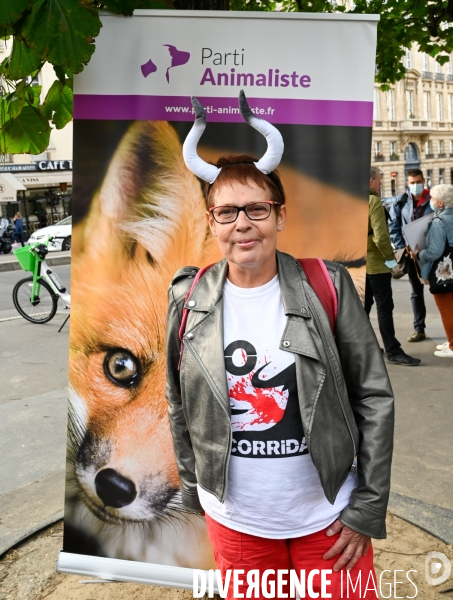 Cause animale : Exigeons une loi pour les animaux au Sénat. animal welfare: Demand an animal law in the Senate.