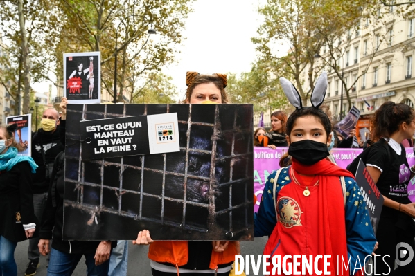 Cause animale :  Marche contre la fourrure et contre l exploitation des animaux pour leur peau. March Against Fur and the Exploitation of Animals for Their Skin.2021.