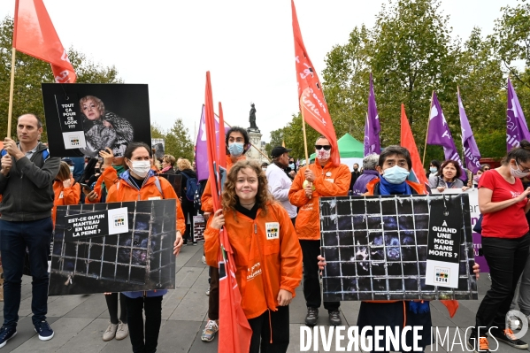 Cause animale :  Marche contre la fourrure et contre l exploitation des animaux pour leur peau. March Against Fur and the Exploitation of Animals for Their Skin.2021.