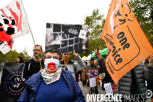 Cause animale :  Marche contre la fourrure et contre l exploitation des animaux pour leur peau. March Against Fur and the Exploitation of Animals for Their Skin.2021.