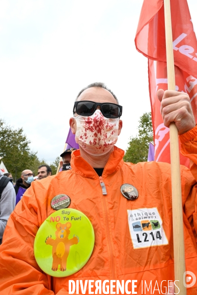 Cause animale :  Marche contre la fourrure et contre l exploitation des animaux pour leur peau. March Against Fur and the Exploitation of Animals for Their Skin.2021.