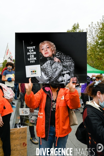 Cause animale :  Marche contre la fourrure et contre l exploitation des animaux pour leur peau. March Against Fur and the Exploitation of Animals for Their Skin.2021.